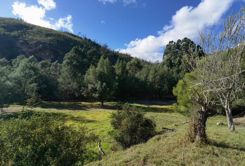 0 Bedroom Property for Sale in Mossel Bay Western Cape